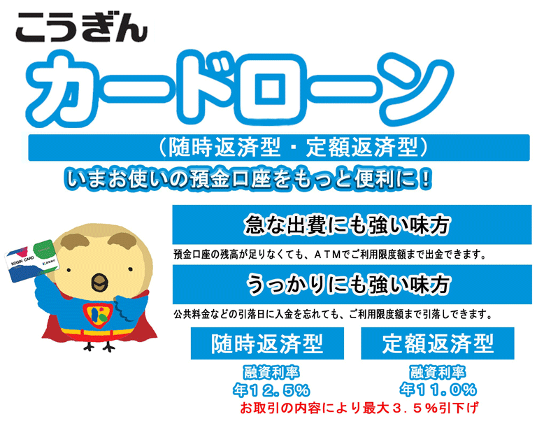 仮審査申込 窓口来店型 こうぎんカードローン 高知銀行 あしたを元気に ビビッドバンク