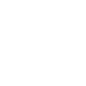 公式X
