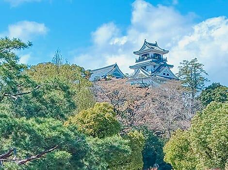 観光名所の高知城