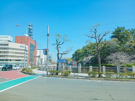 城山公園の堀端通り