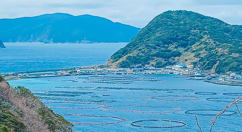 宿毛・城辺支店