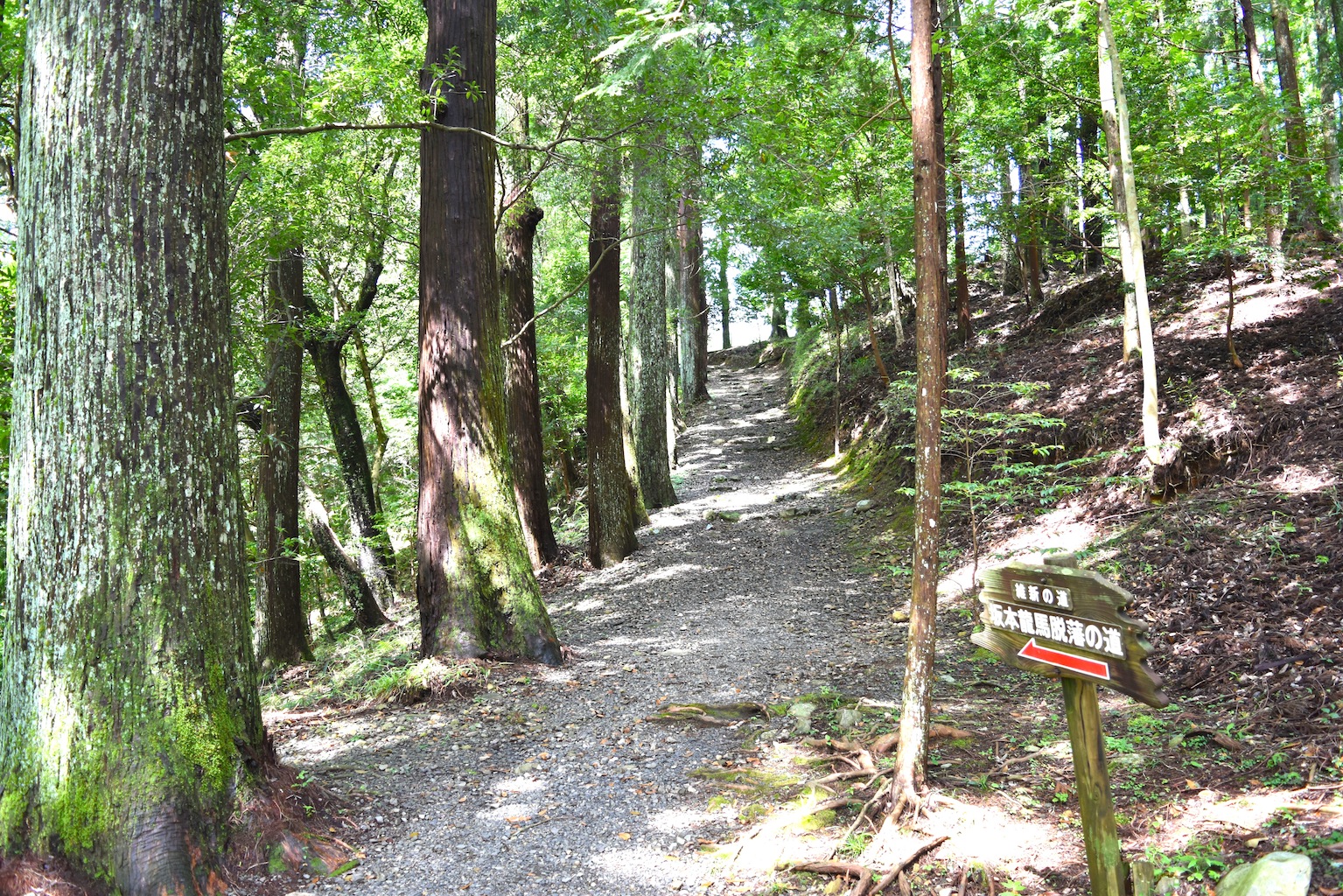 森林浴を楽しみながら歩く 坂本龍馬脱藩の道 よさこいおきゃくブログ