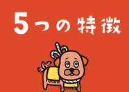 5つの特徴