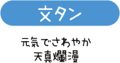 文タン　元気でさわやか　天真爛漫