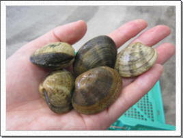 アサリのバター炒め