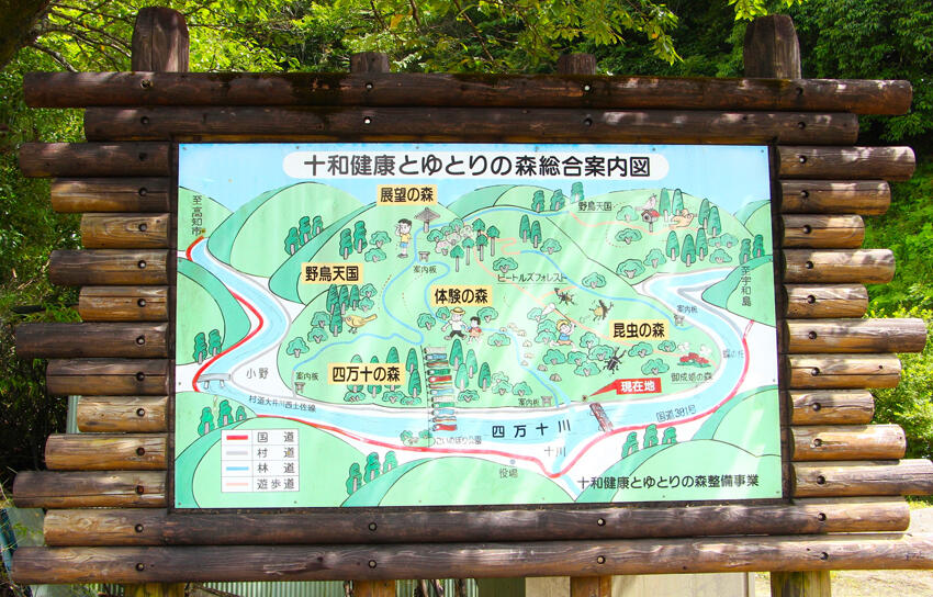 緑溢れる森から四万十川を眺めよう