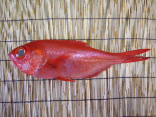 キンメダイの炊き込みご飯