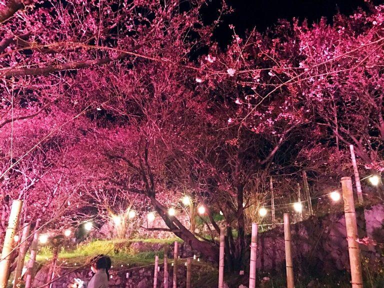 一夜限り!ロマンチックなひと時を♪『雪割桜キャンドルナイト』※当イベントは中止となりました。