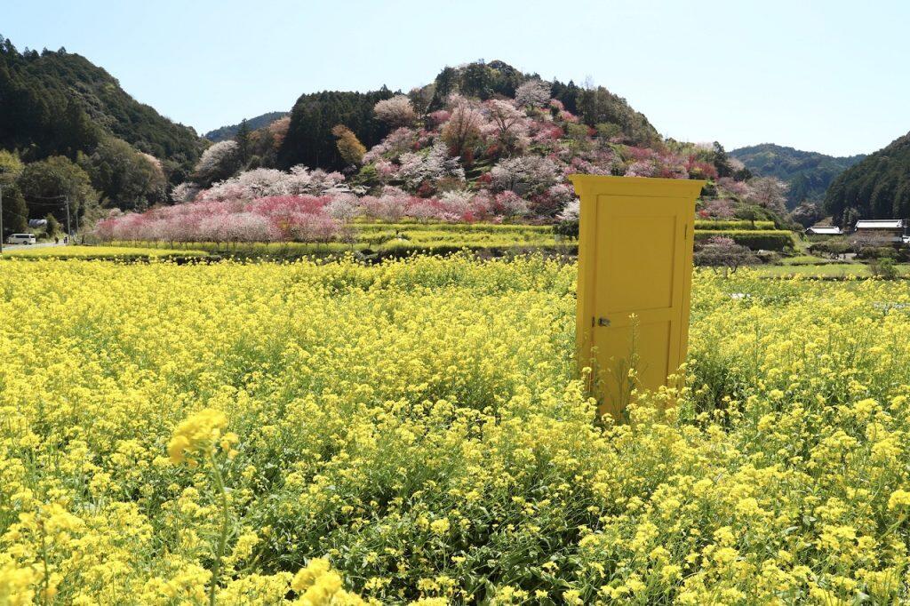 開けた向こうには別世界
