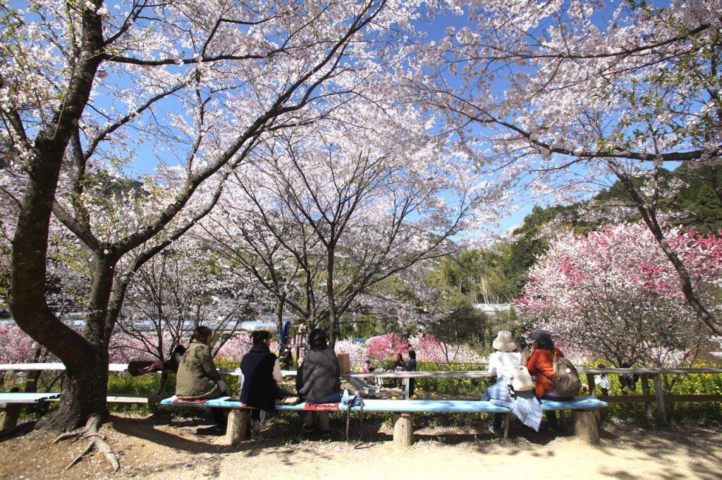 のんびり景色を眺められる休憩スペース