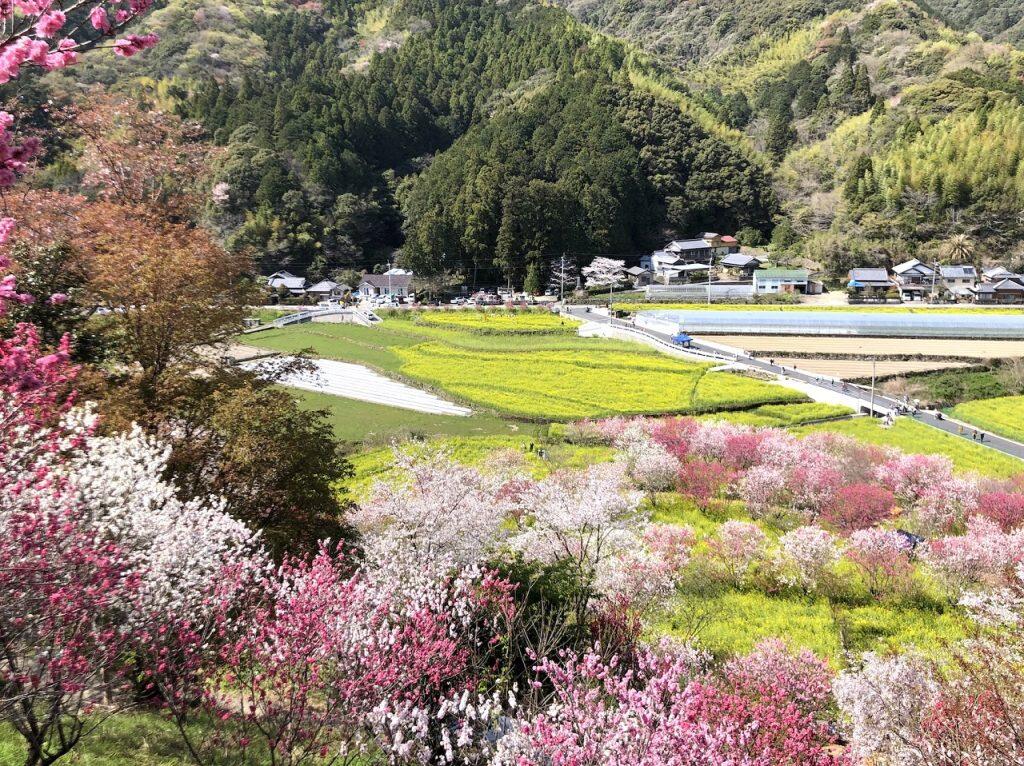 山頂にある展望台から望む景色も必見