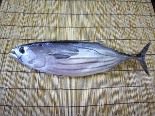 カツオとタケノコの煮物