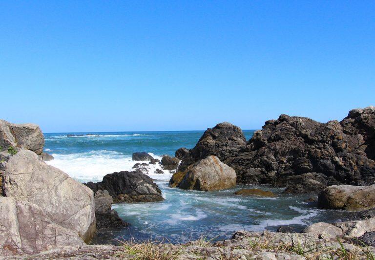 室戸市の幸を全国に届ける「うみ路」