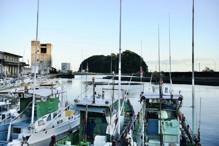 土佐沖で釣り上げられた旬のカツオを鮮魚のまま使用