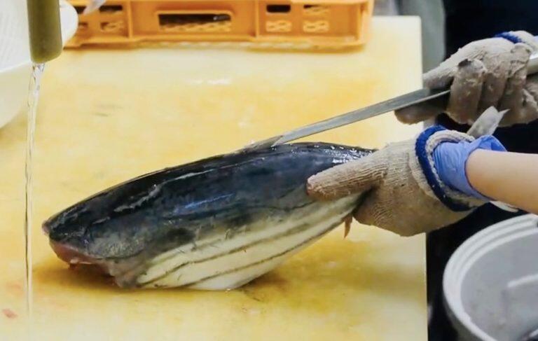 熟練の女性職人が一本一本丁寧に手作業で下処理