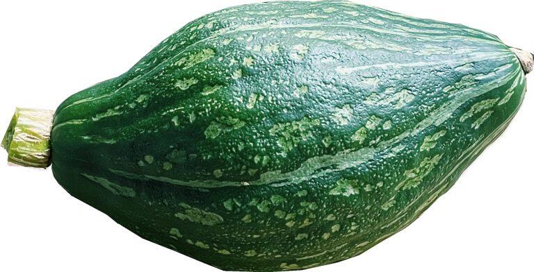 ラグビーボールのような形が特徴の