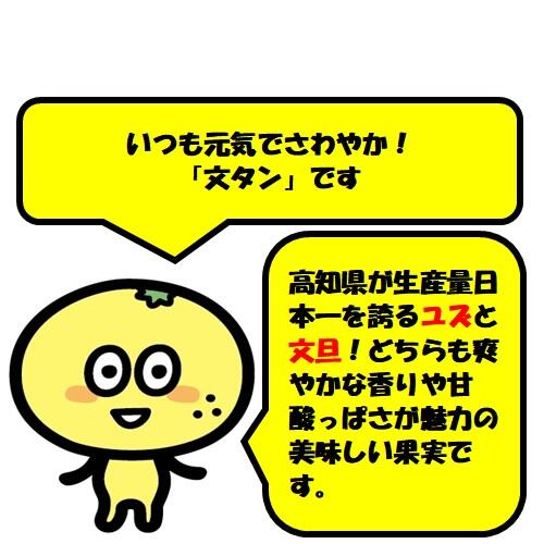 柑橘類の旨みを詰め込んだ、安心で美味しいドレッシング&ポン酢をご紹介します。