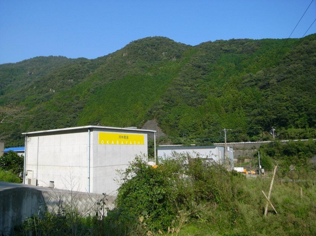 「岡林農園」では