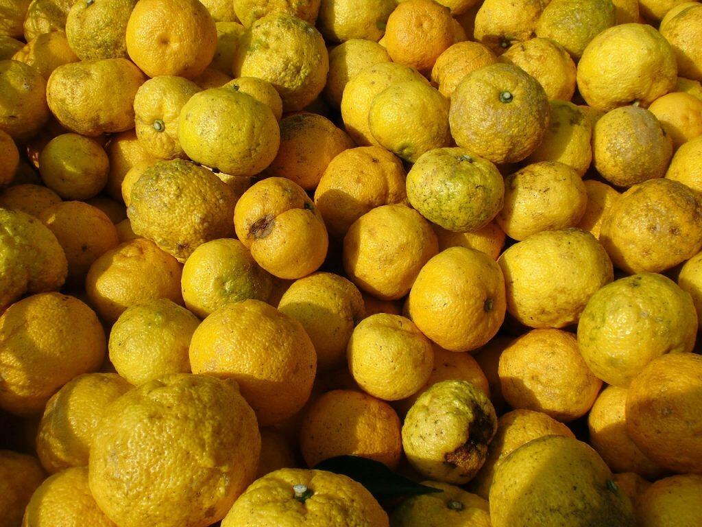 仁淀川沿いにある加工場は、高知県食品総合衛生管理認証(KochiHACCP)のステージ3認証を取得していて衛生管理も行き届いています。