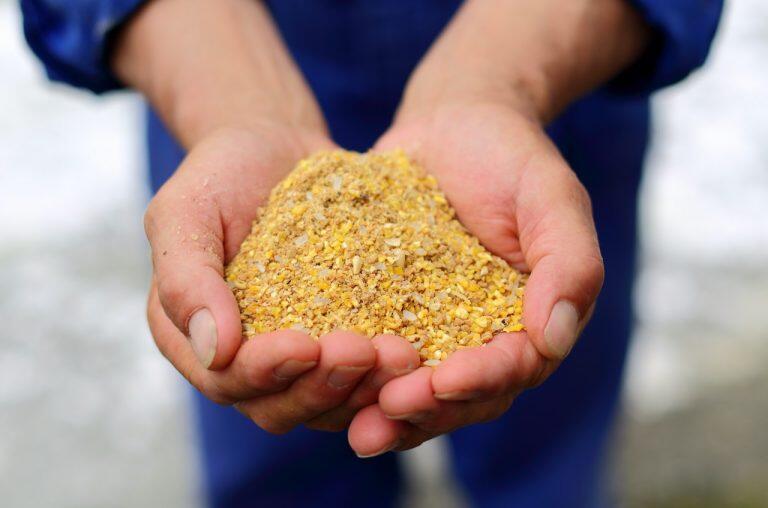 トウモロコシを主とした飼料や木酢精製液・海藻・ヨモギを独自配合した栄養価の高いサプリメント