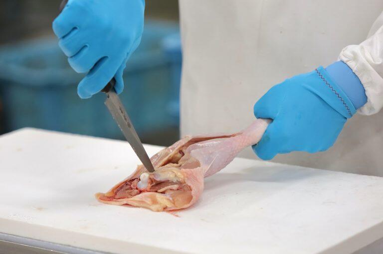 加工場は、高知県版HACCP (ハサップ)に沿った衛生管理を実施しており、鶏の入荷後は品質を大切に、丁寧かつ素早く捌いて、お肉や加工品に仕上げています