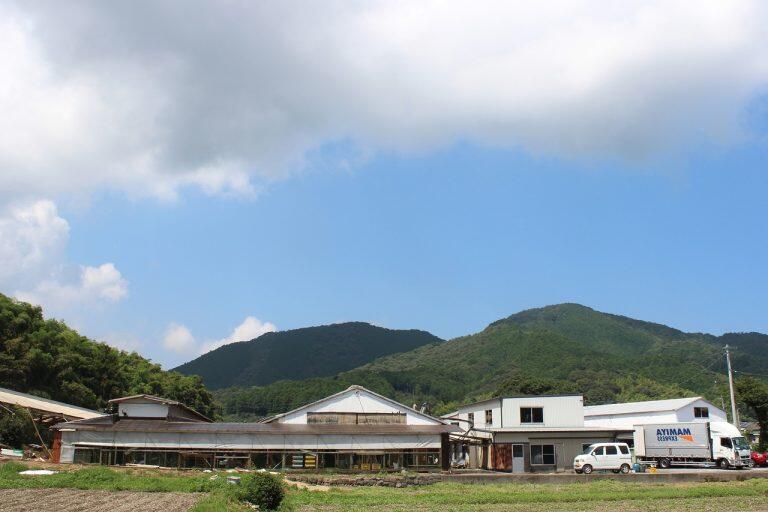 養鶏場があるのは、四万十川流域、高南大地と呼ばれる標高230mの大自然の中!