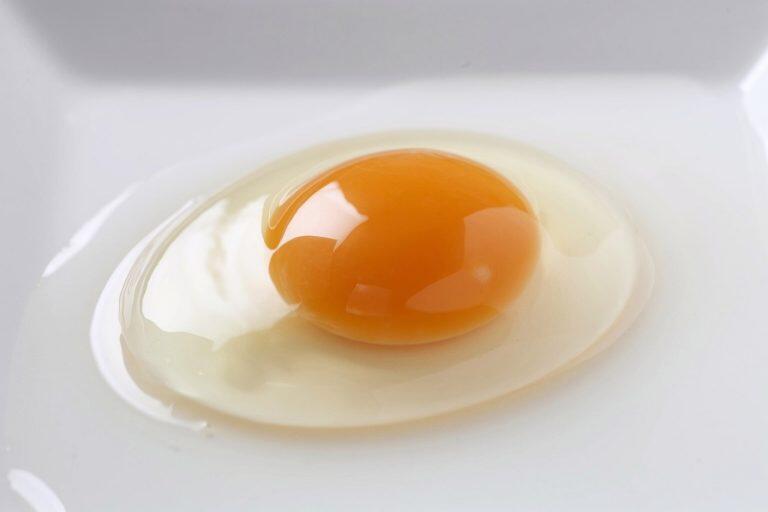 弾力のある透明で美しい卵白と、ぷっくり盛り上がった卵黄