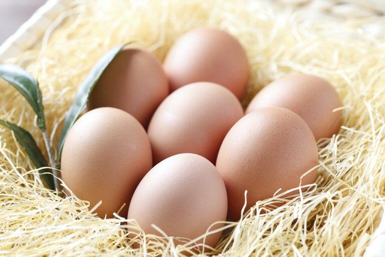 自慢の卵を使ったこだわりのスイーツ