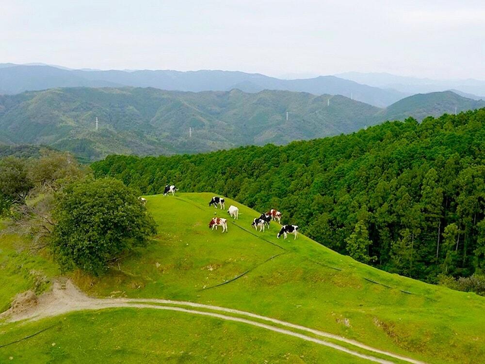 山地酪農/ジェラート店「ドルチェかがみ」
