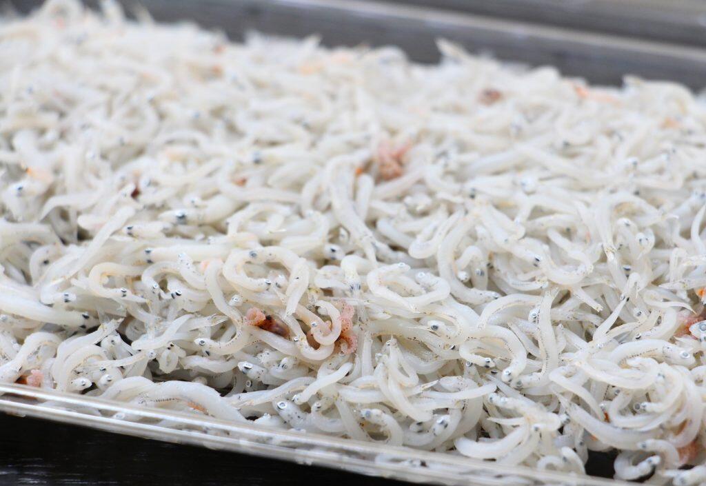 室戸海洋深層水仕込みの美味しいちりめんじゃこ