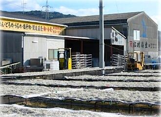 老舗の海産店「松村海産」