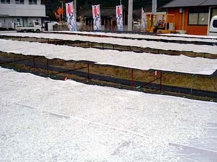 ちりめんじゃこが出来上がるまでの工程をみせていただきました