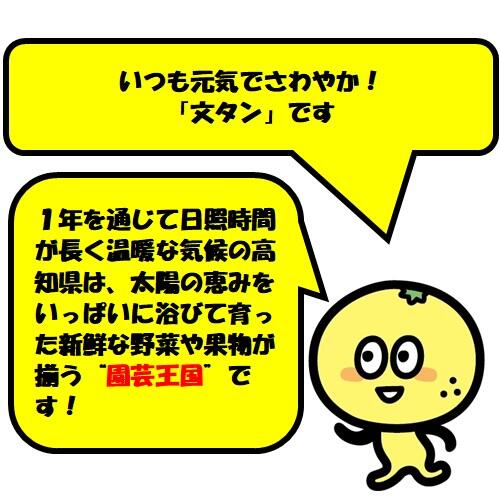 自然の美味しさをギュッと凝縮!無添加ドライフルーツ&スパイス!