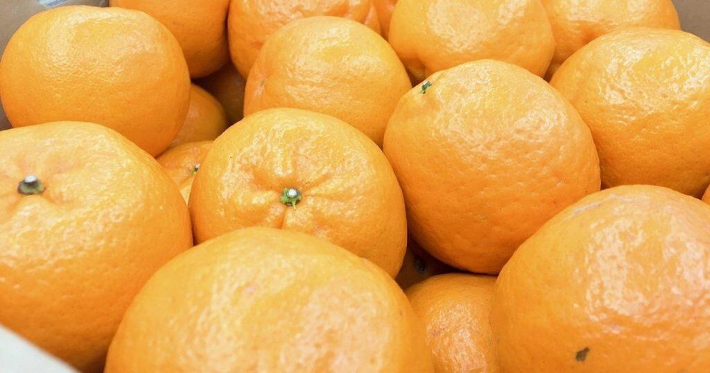 代表を務める本田さんが自ら農家に足を運び、