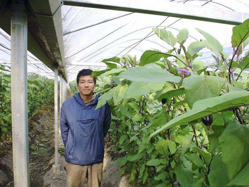 「焼きナスのアイス」に使うナスは、すべて旬の時期に収穫された地元・安芸市産