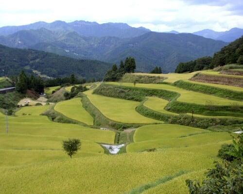 高知県嶺北(れいほく)地域