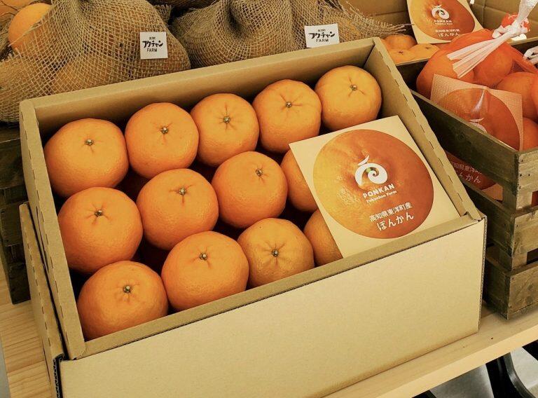 そのまま食べるのはもちろん、搾ってジュースにしたり、ゼリーやパウンドケーキにしたりしてもぽんかんの濃厚な甘みが楽しめます