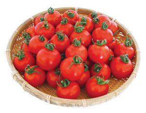 毎日食べたい！！完熟つやつや「フルティカトマト」