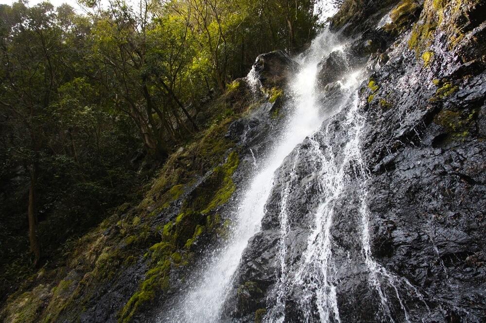 道中は土佐山の大自然や森林浴も楽しめるので、ドライブがてらに訪れてみるのも良いかもしれませんね