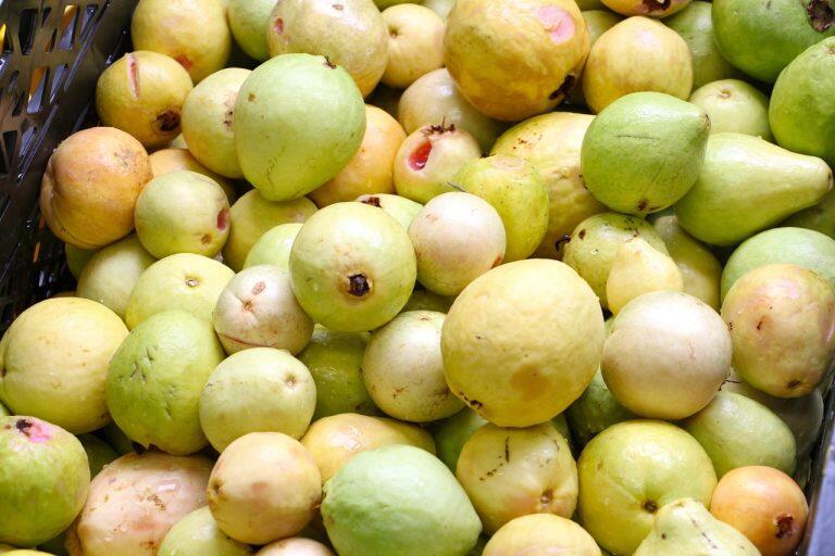 グァバは、国内では沖縄県や鹿児島県などで栽培されているトロピカルフルーツ