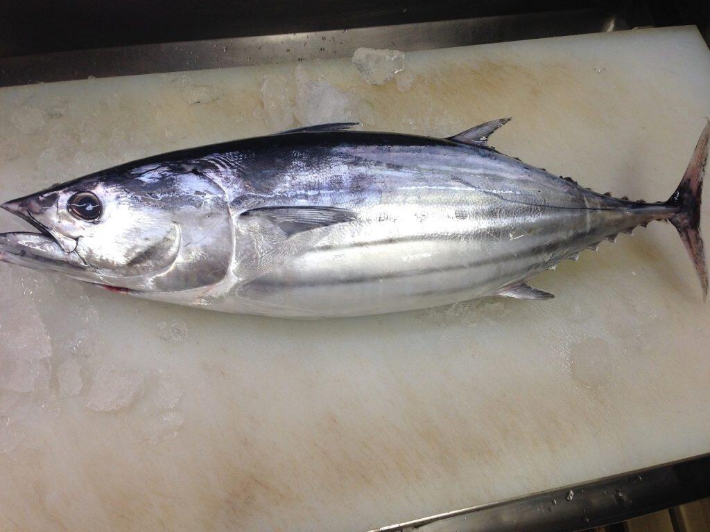 自慢の鰹節をはじめとする鰹製品には、脂質が高く旨味のある東沖獲れの上質なカツオを使い、全て丁寧に手作業で製造