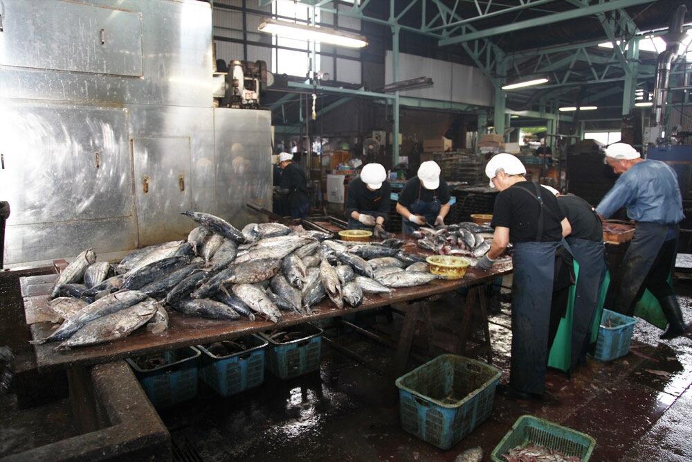 明治初期、紀州の漁師から本枯れ節の製法を習得した播磨屋亀蔵(はりまやかめぞう)によって、宇佐地域に鰹節の製法が伝えられたといわれています