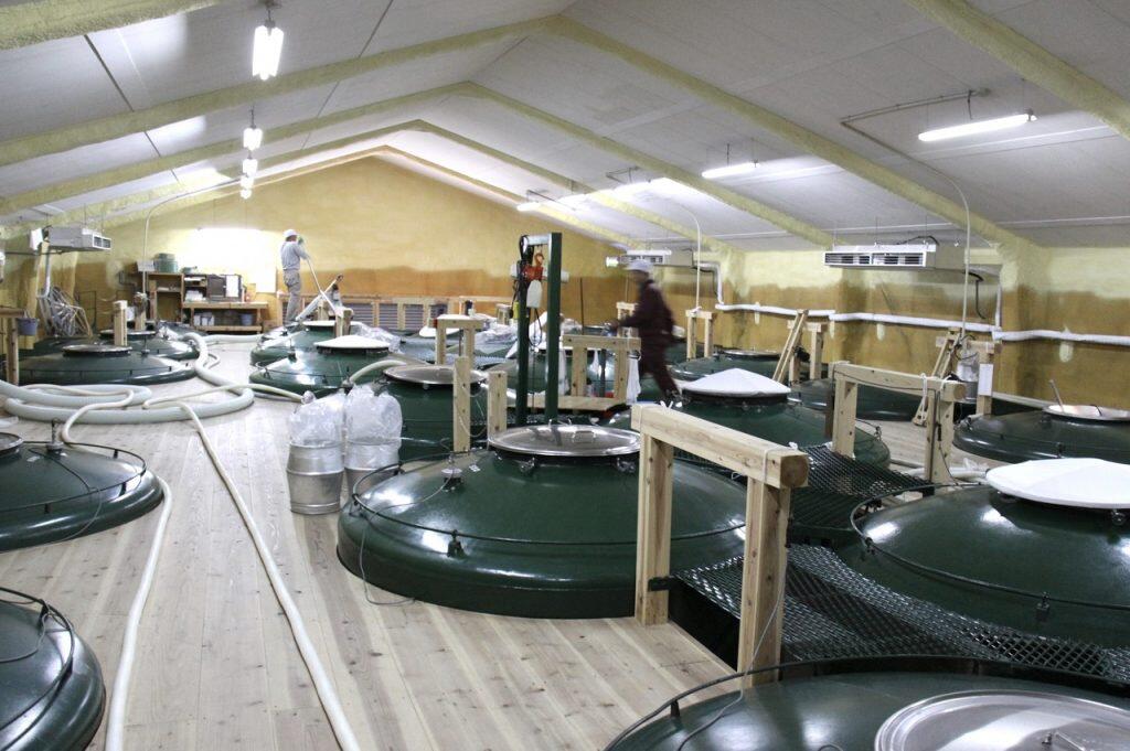 原料米には、高知県産の