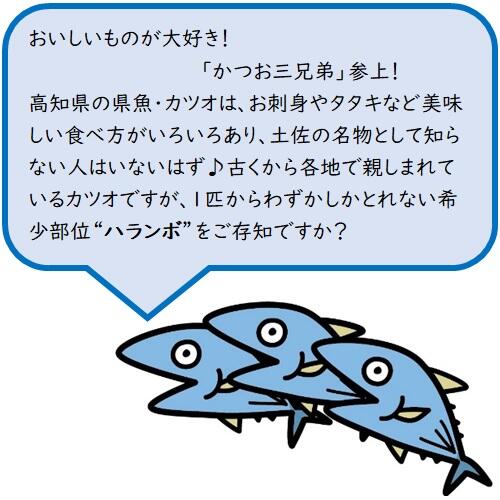 まあ食べてみて!カツオの希少部位・ハランボの串焼き!