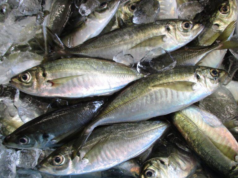 地元の養殖業社が丹精込めて育てた、脂のりが良いベストな状態の魚