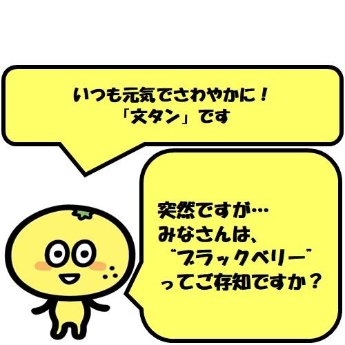 突然ですがみなさんは、