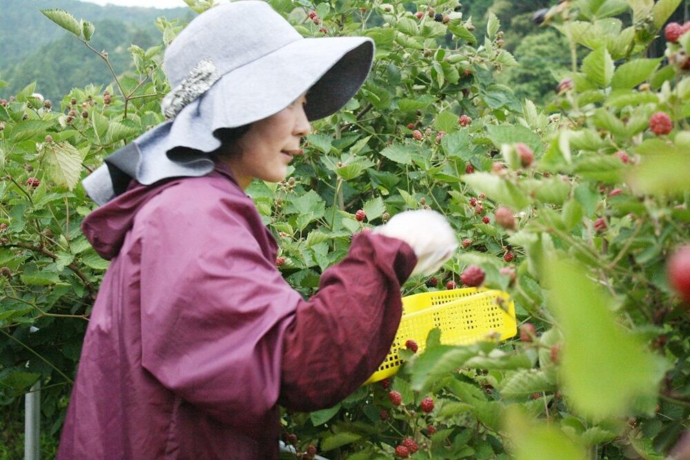 「ヒロの果樹園」のご夫婦のポリシーは「誰もが安心して食べられる果物を作る」