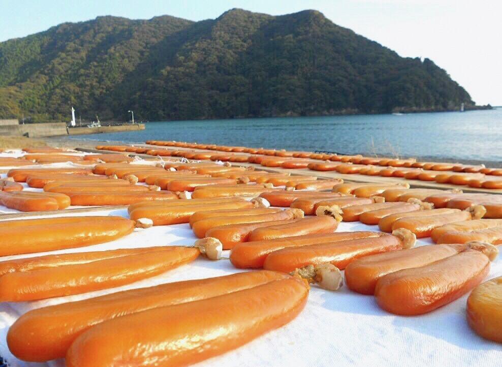 雨量が減り、澄んだ空気が心地良い秋頃には、太陽の光が降り注ぐ富士ヶ浜に、飴色のからすみがズラリと並んで日光浴をする様子が見られる
