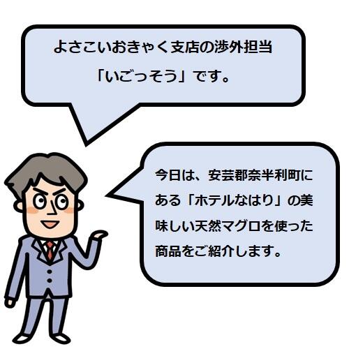 「ホテルなはり」の美味しい天然マグロ
