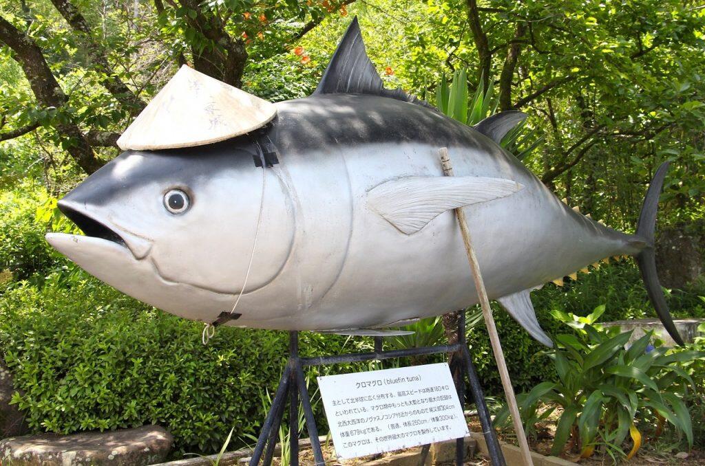 マグロ船に携わる人達の宿舎として昭和55年(1980年)に開業した「ホテルなはり」